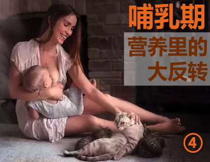 第四节 哺乳期的能量增长，居然不是由大鱼大肉主导的！！