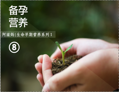 8【板块二】03 好的受孕条件