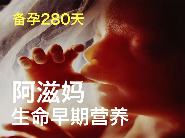 280天有节奏 孕期营养不挖坑