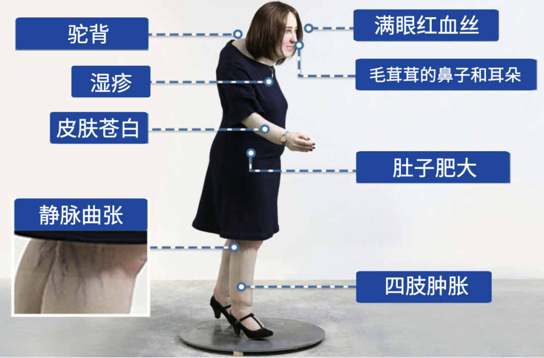 【久坐族抗衰老日常宝典】坐着的费登奎斯®️动中觉察视频/音频课