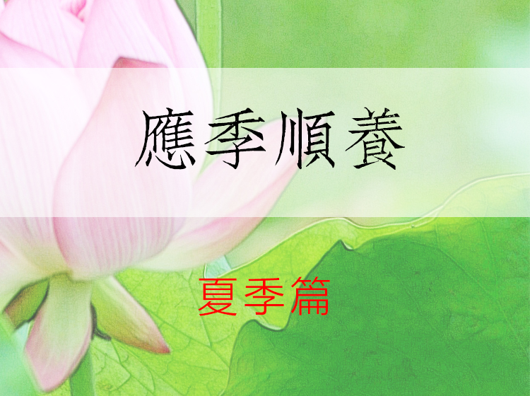 应季顺养之夏季篇
