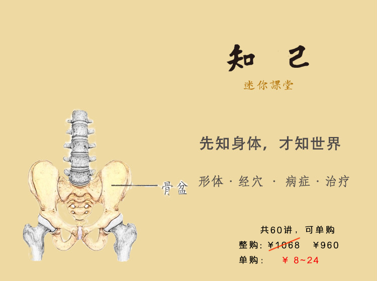 知己 丨 迷你课堂