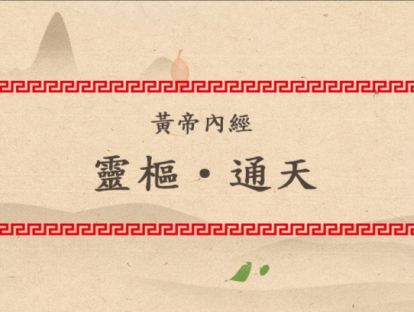 第十一讲——文字版