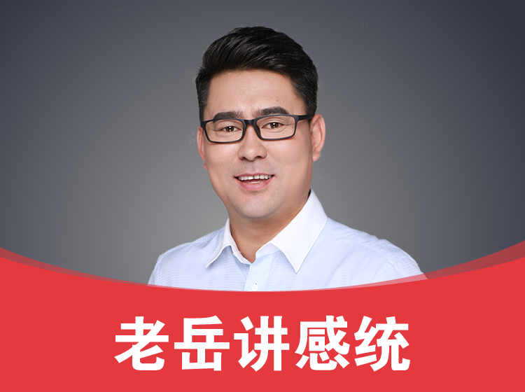 老岳感统育儿