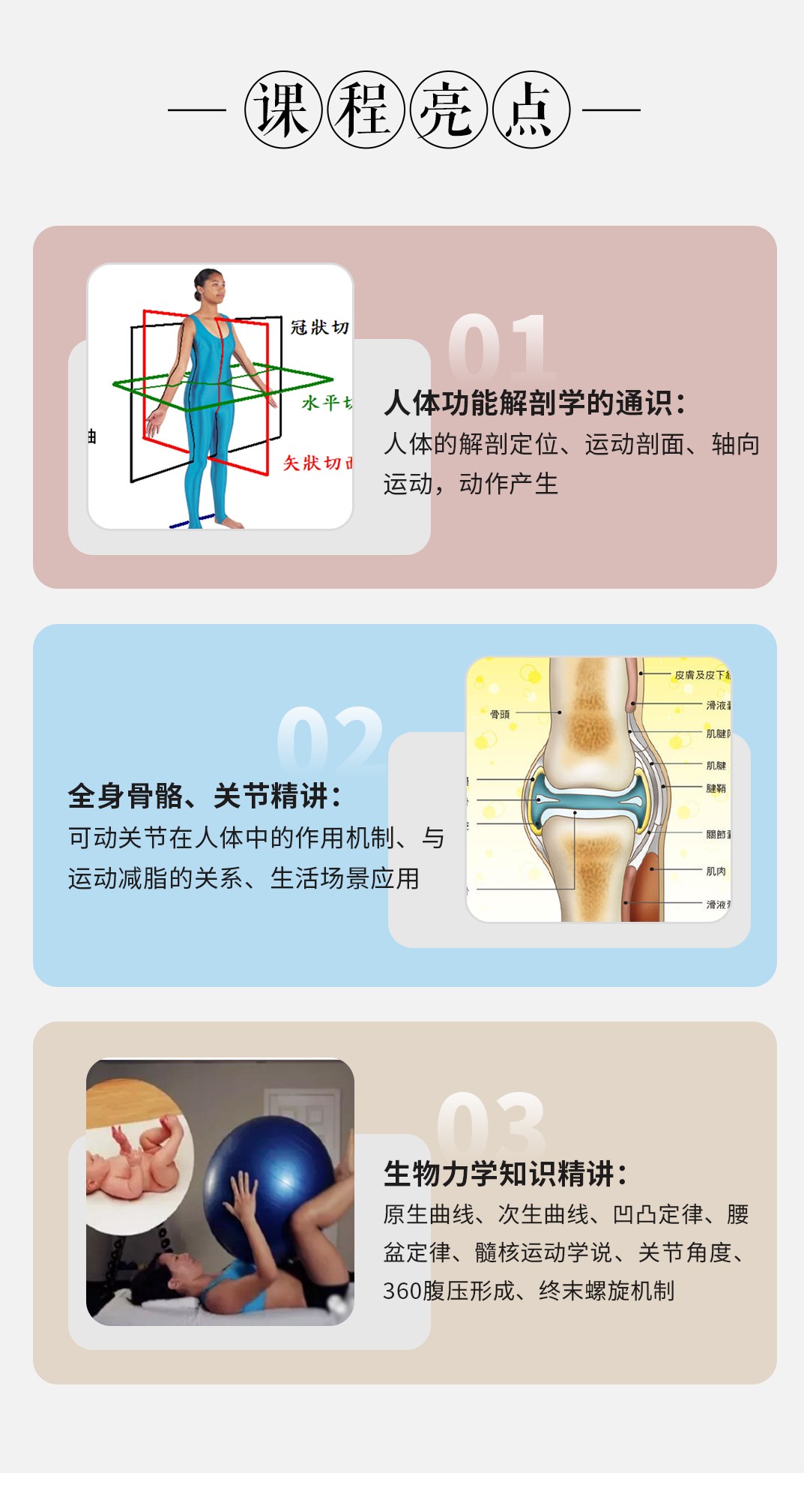 10节运动功能解剖，扫除盲点，瑜伽老师秒变理疗康复师