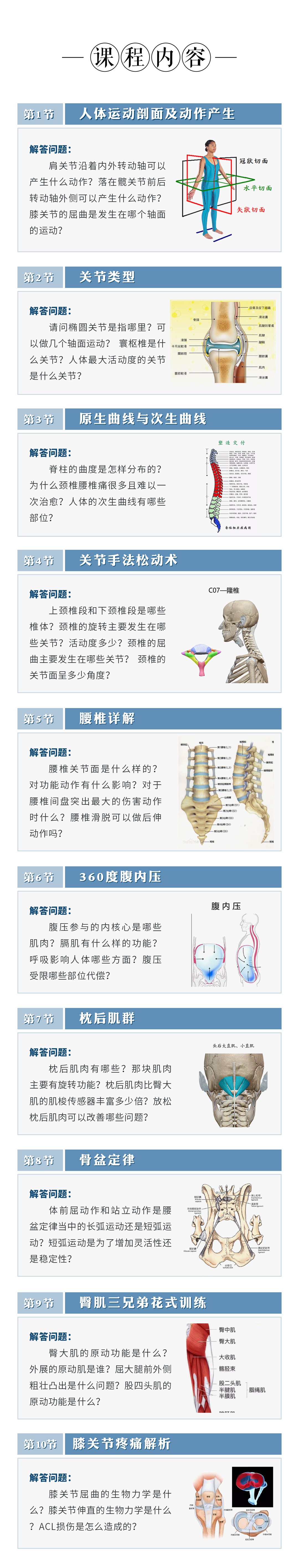 10节运动功能解剖，扫除盲点，瑜伽老师秒变理疗康复师