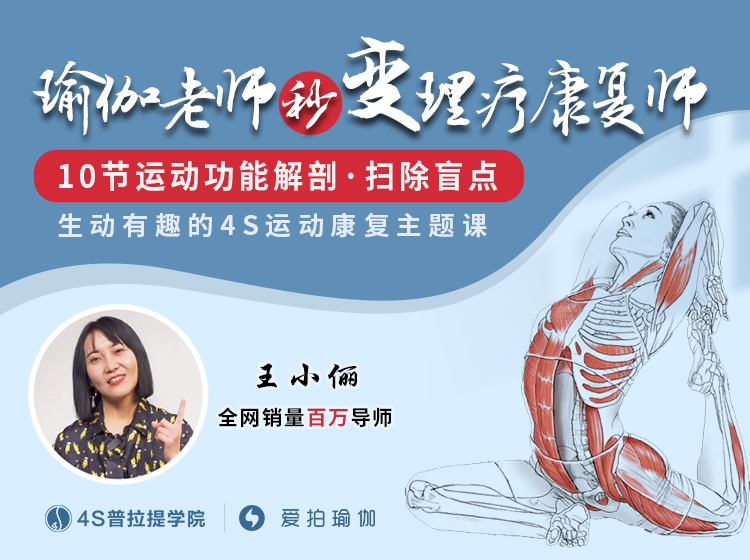 10节运动功能解剖，扫除盲点，瑜伽老师秒变理疗康复师