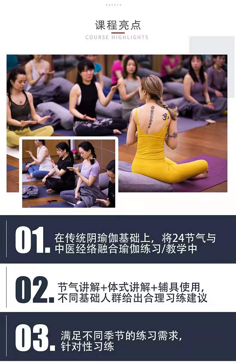 阴瑜伽之四季理疗修复，24节节气经络全系列