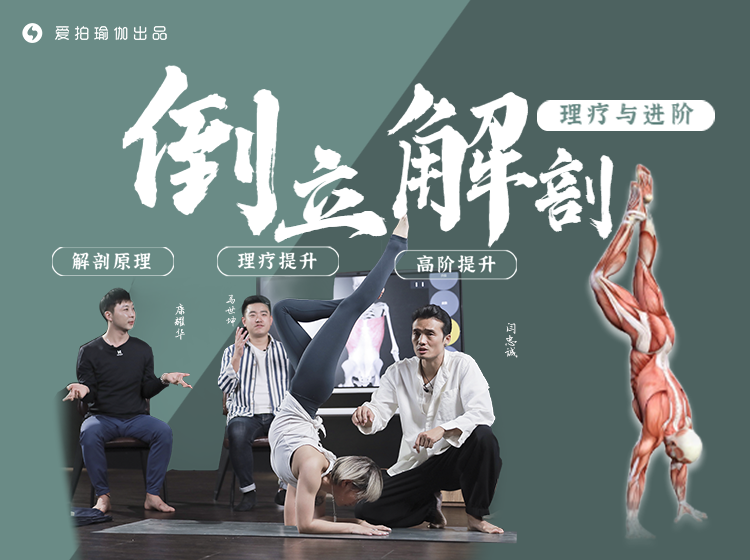倒立解剖理疗与进阶，一套完全不一样的倒立课，忠诚瑜伽出品