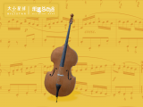 15 Double bass 倍大提琴 : 我是提琴界的大力士！
