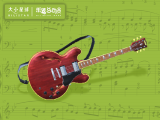 27 Electric Guitar 电吉他 : 如果不插电，我的嗓门还没蚊子大！