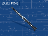 20 Oboe 双簧管 : 我不是两根单簧管拼成的！