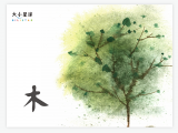 A019 木 ： 上有枝干 下有树根