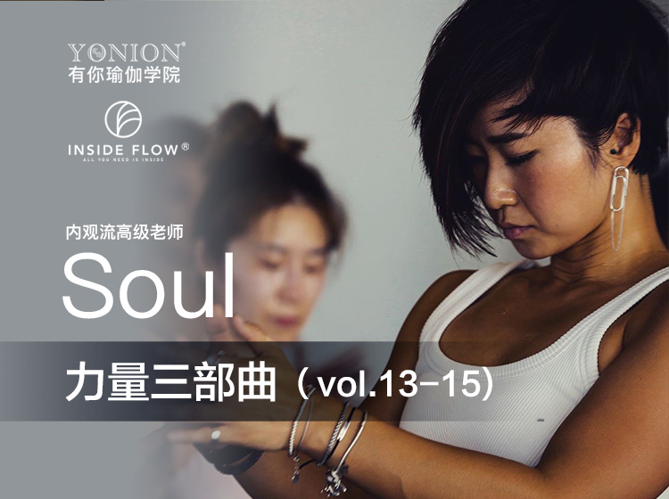 有课：InsideFlow内观流 Soul力量三部曲