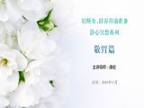 轻断食、辟谷静心冥想之[敬胃篇]