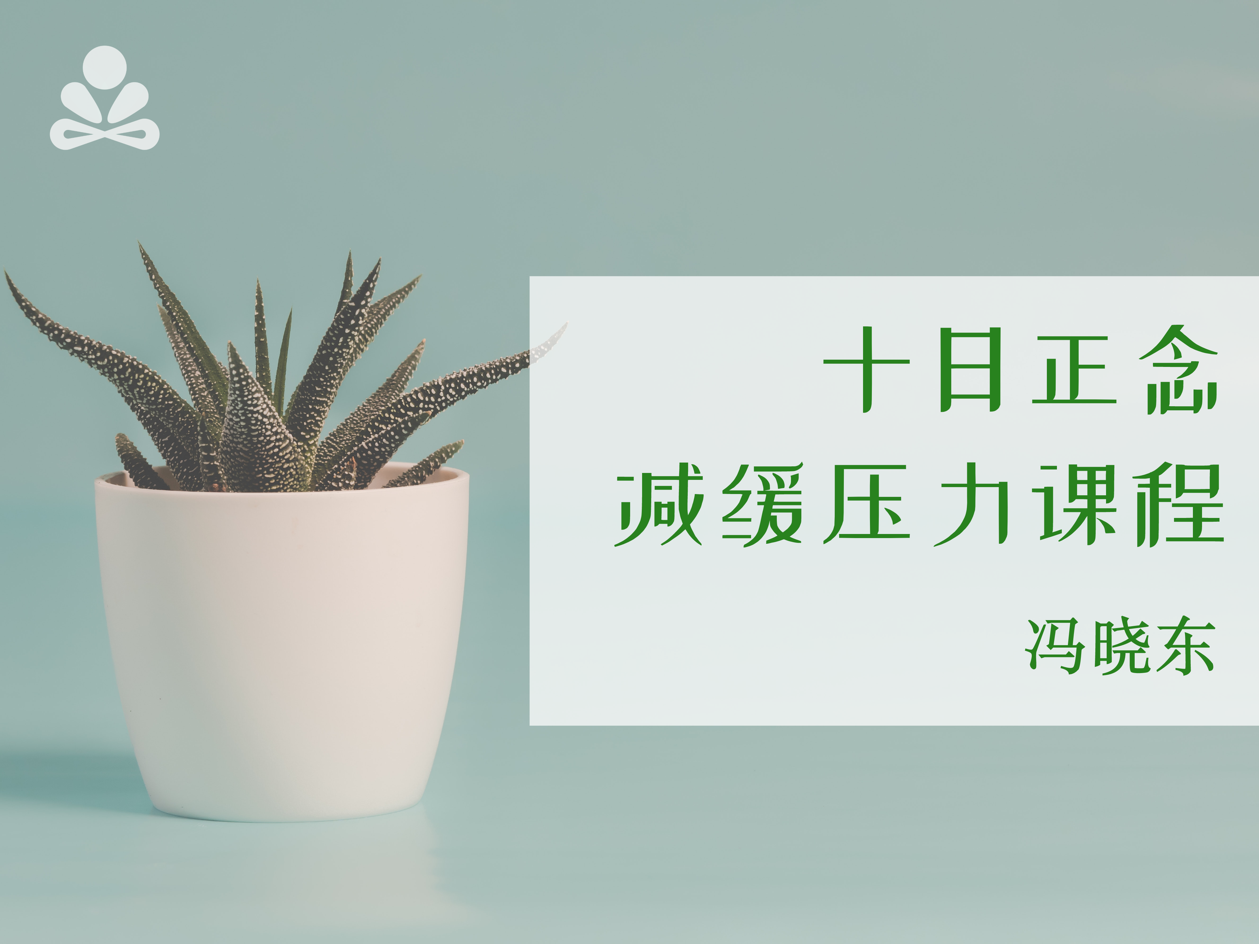 十日正念减缓压力课程