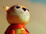 音频06期《神奇猫》