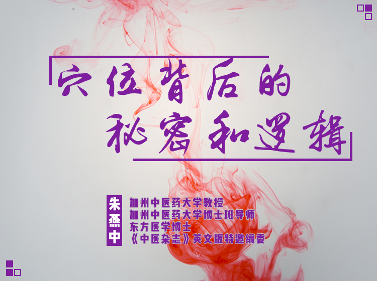 朱燕中： 穴位背后的逻辑和秘密