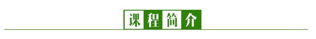 父母的功能：父母该起什么作用？