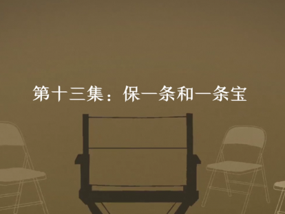 第13集：保一条和一条宝