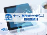 第十一讲：各种统计分析(二)描述性统计