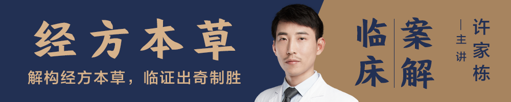 许家栋-经方本草临床案解