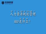 No.1 人力资源规划管理-HRP是什么