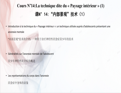 课N°14: “内部景观”技术