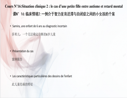 课N°16临床情境2一例介于智力发育迟滞与自闭症之间的小女孩的个案