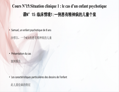 课N°15:临床情境1:一例患有精神病的儿童个案