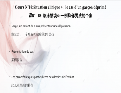 课N°18:临床情境4:一例抑郁男孩的个案