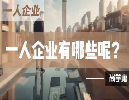 2-一人企业有哪些呢？