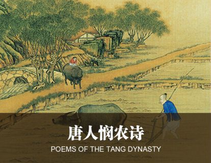 16唐人悯农诗
