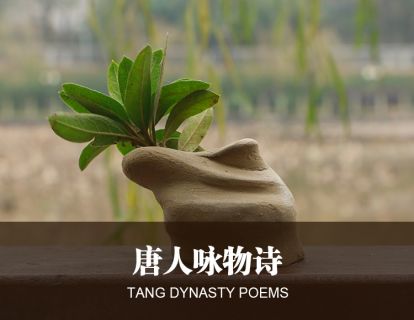 10唐人咏物诗
