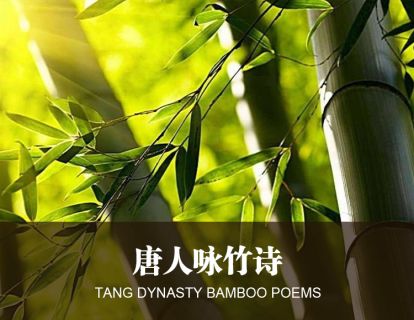 11唐人咏竹诗