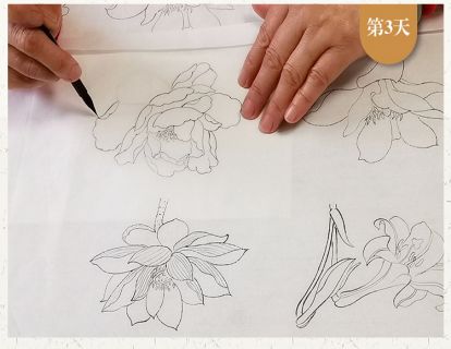 49度“艺心逸意”安眠工笔绘画--当归第四节花的画法