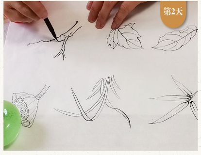 49度“艺心逸意”安眠工笔绘画--当归第三节叶子的画法