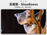 034 无尾熊 - Steadiness丨蒂姆·库克的“稳中求胜”
