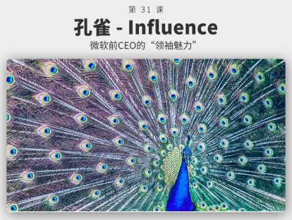 031 孔雀 - Influence丨史蒂夫·鲍尔默的“领袖魅力”