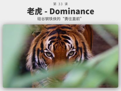 033 老虎 - Dominance丨埃隆·马斯克的“勇往直前”