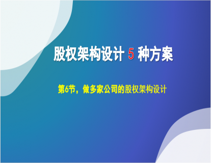 1.6 做多家公司的，股权架构设计方案