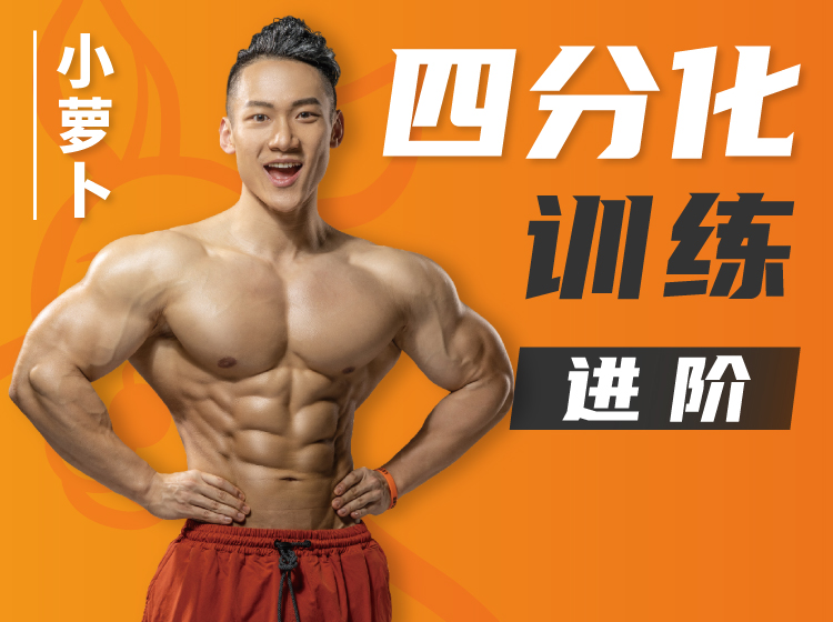小萝卜四分化训练（进阶版）