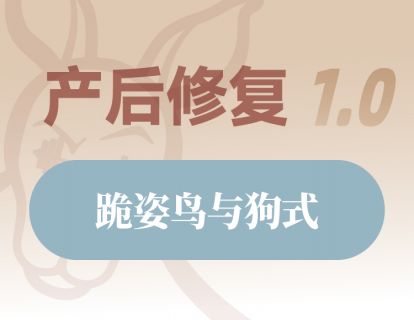 跪姿鸟与狗式