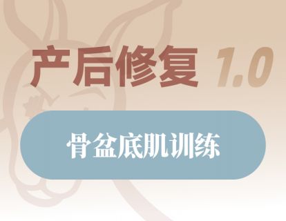 骨盆底肌训练