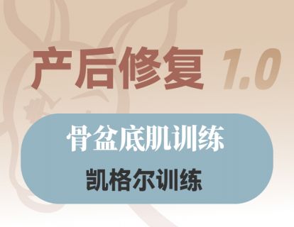 第四课：骨盆底肌训练—凯格尔训练