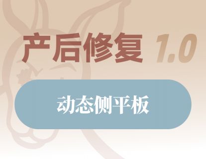 动态侧平板