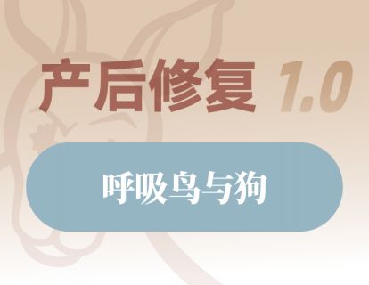 呼吸鸟与狗