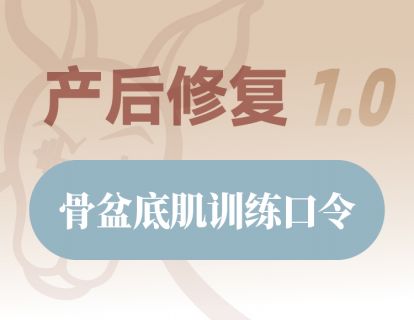 骨盆底肌训练口令