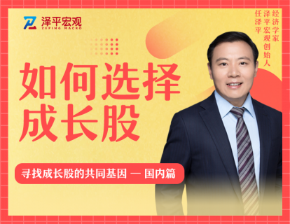 第五节课  寻找成长股的共同基因——国内篇