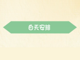 【白天安排】：如何进行白天的时间模块设置
